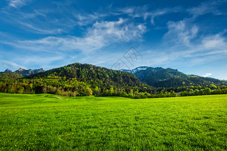 巴伐利亚阿尔卑斯山的高山草甸巴伐利亚,德国德国巴伐利亚高山草甸图片