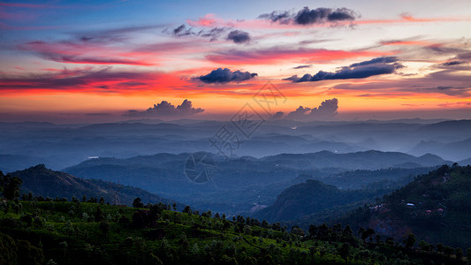 山中日落与茶园的全景穆纳尔,喀拉拉邦,印度日落山上图片