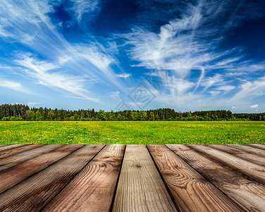 木制木板地板,平静的夏季草地背景下木制木板地板夏季草地图片