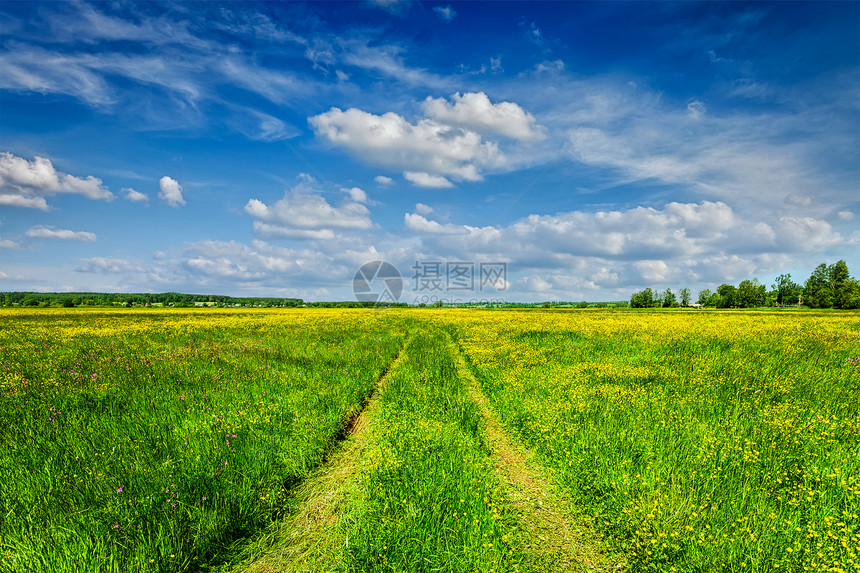 春夏背景乡村道路绿草田草甸风景与蓝天春夏乡村道路绿野风光中的景观图片