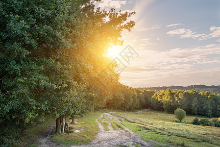 夏日傍阳光透过树木,灰烬森林的英国乡村景观图片