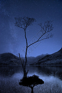 银河系夜空的图像,湖泊山脉前自然的树木轮廓图片