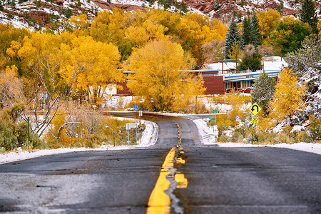 季节变化,雪秋树沿湿公路科罗拉多州,美国图片