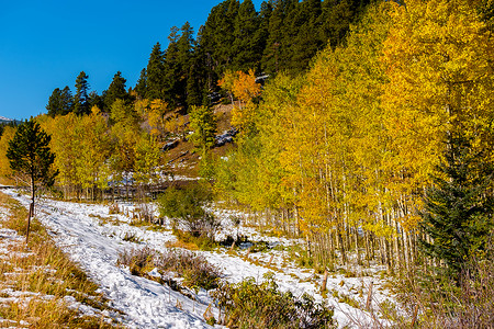 季节变化,次雪秋季白杨树科罗拉多州,美国图片