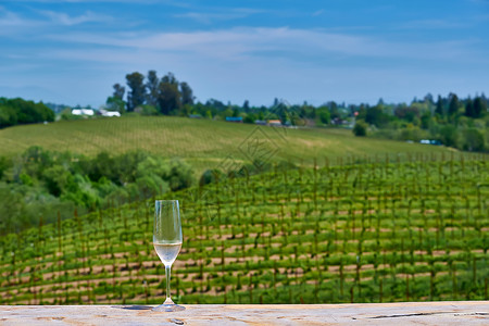 加州品酒杯白葡萄酒葡萄园图片素材