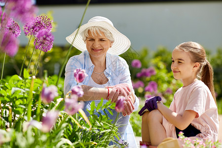 园艺,家庭人的快乐的祖母孙女夏天的花园里看花夏天花园里的祖母带花的女孩图片