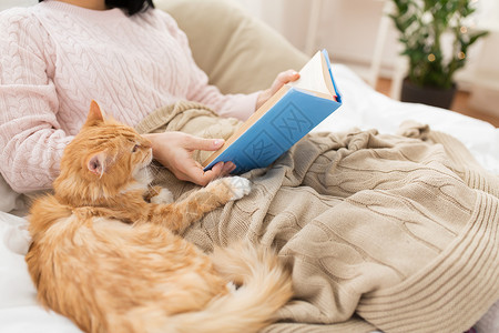 潮格,文学人的红色塔比猫女主家床上看书红猫女主家看书图片