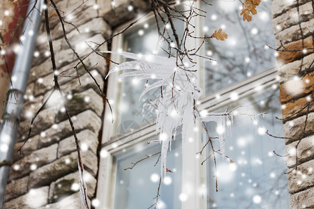 季节冬天的窗户上树枝上的冰柱窗户上树枝上的冰柱图片