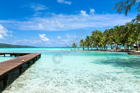 波拉波拉岛机场旅行,海景自然木墩热带海滩法属波利尼西亚法属波利尼西亚热带海滩上的木制码头背景