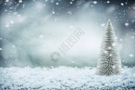 冬季雪背景与诞树,正视图图片