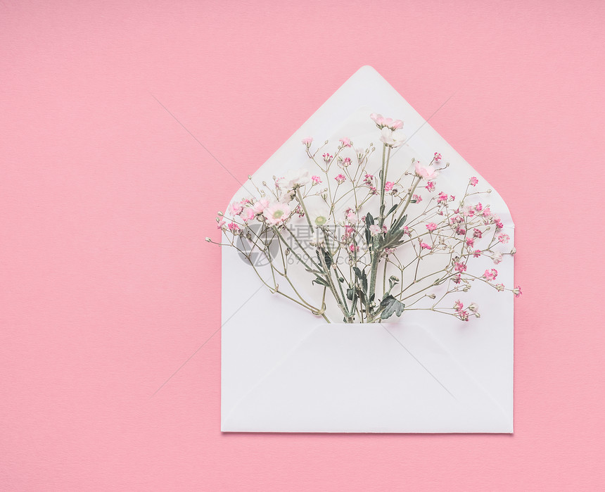 白色信封与小果蝇花粉底,顶部视图与为您的图片