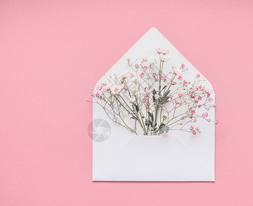 白色信封与小果蝇花粉底,顶部视图与为您的背景图片