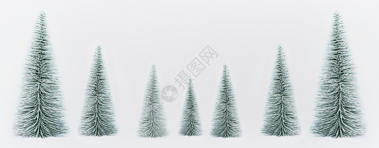 装饰诞树森林白色背景,横幅图片