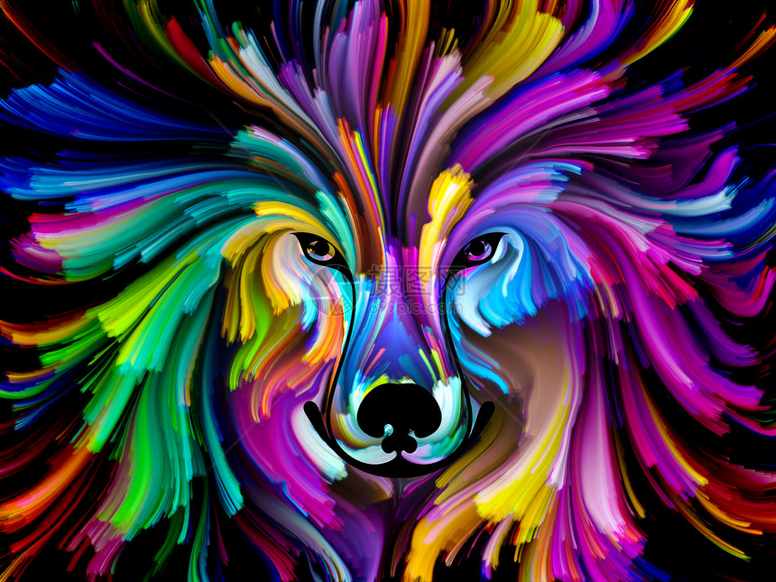 狗漆系列以艺术想象力创造力为的彩色狗肖像抽象图片