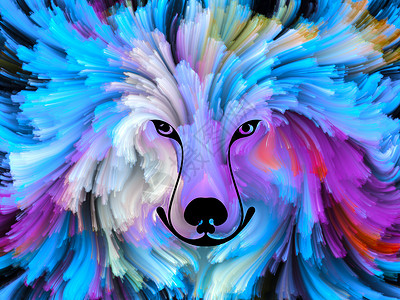 狗漆系列彩色狗肖像的背景,以艺术想象力创造力为图片素材