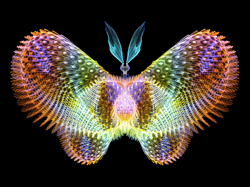 来蝴蝶系列由蝴蝶图案成的背景,适合科学想象力创造力项目中用图片