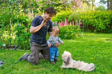 父亲教儿子如何夏天的绿色花园里指挥狗图片