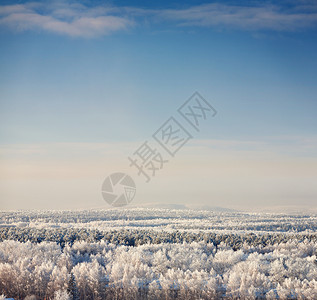 冬天的风景蓝天图片