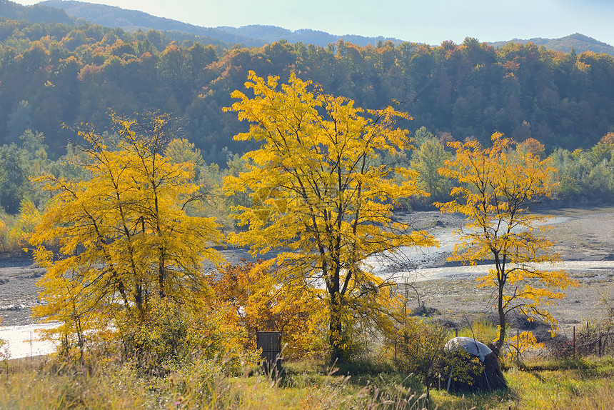 罗马尼亚河上的秋天树叶图片