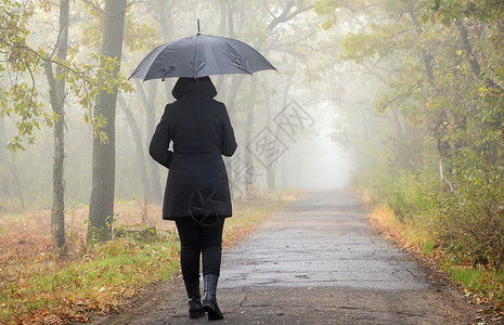 带着黑色雨伞雾森林的女人背景图片