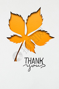 创意感恩节照片的片树叶的白色背景图片