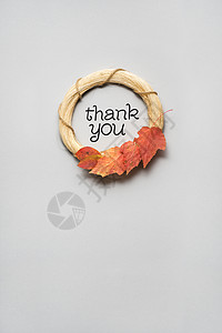 创意感恩节照片的树叶灰色背景图片