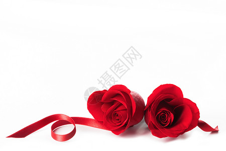 两朵心形的红色玫瑰丝带白色背景上分离,情人节图片