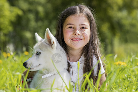 带着哈士奇小狗的小女孩带着哈士奇小狗的小女孩夏天的草地上撒着蒲公英图片