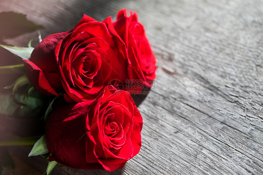 木头上的红玫瑰三朵美丽的红色玫瑰古老的木制背景上图片