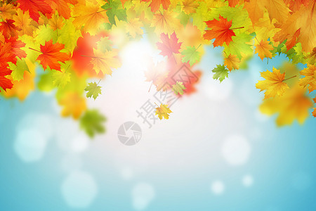 秋天的叶子背景图像与秋叶文字的位置高清图片