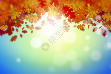 秋天的叶子背景图像与秋叶文字的位置高清图片