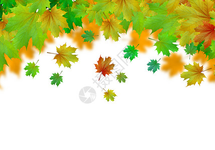 秋天的背景白色背景上五颜六色的叶子的图像文字的位置10月高清图片素材