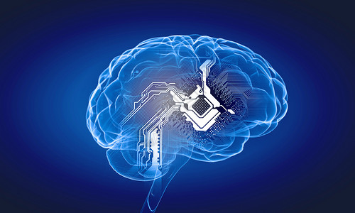 人类的头脑蓝色背景下人脑的科学图像背景图片