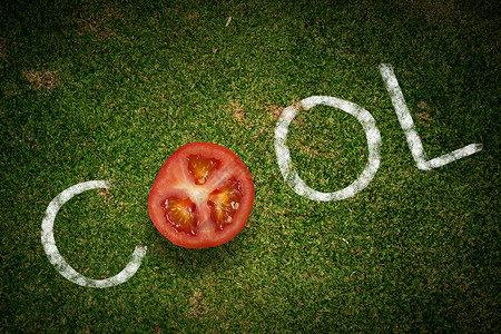 凉爽的西红柿用番茄片代替字母o的单词酷图片