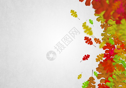 秋天的背景白色背景上五颜六色的叶子的图像文字的位置晴朗的高清图片素材