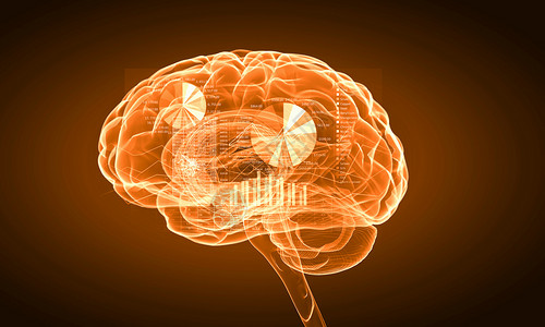 人类的头脑黄色背景下人脑的科学图像图片