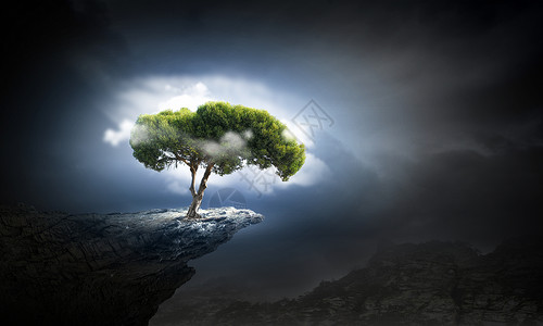 自然保护绿树环境保护的象征背景图片