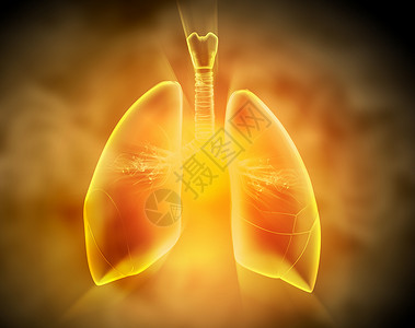 肺元素人类肺的示意图彩色背景上同元素的人类肺的示意图拼贴背景