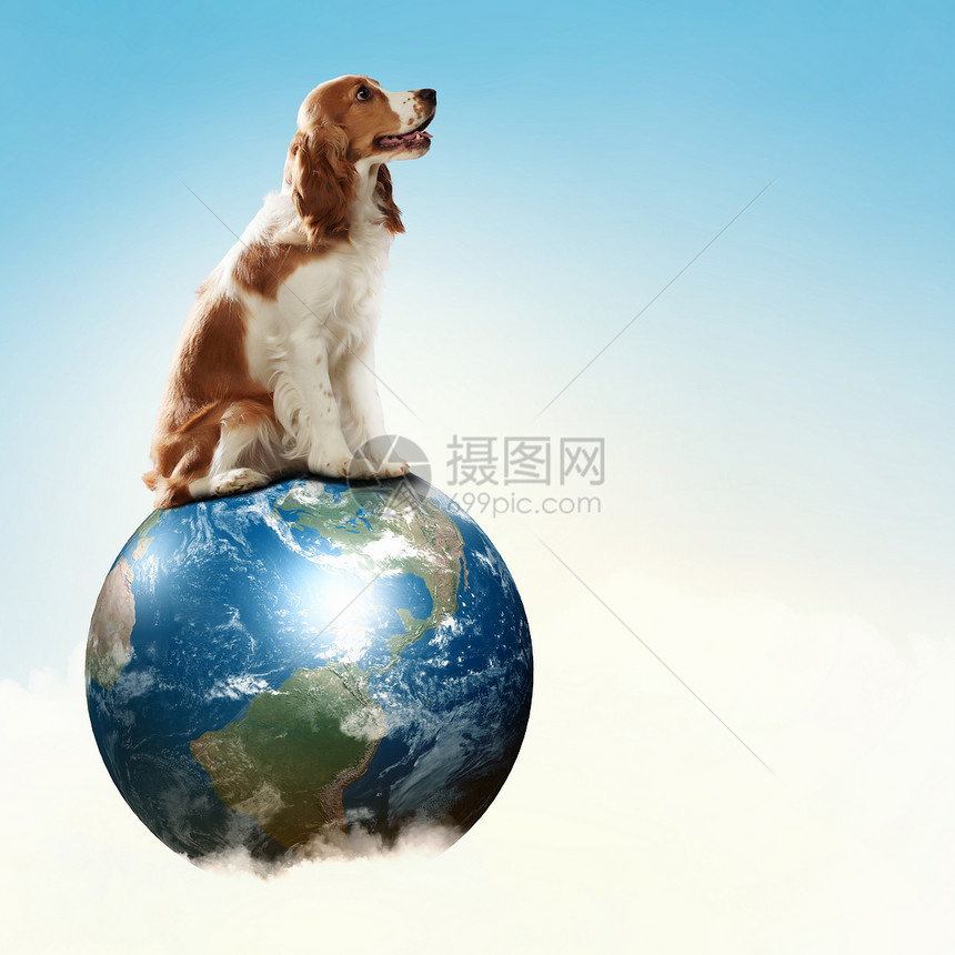 狗与地球狗与地球行星趣的拼贴画这幅图像的元素由美国宇航局提供的图片