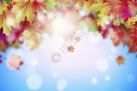 秋天的背景白色背景上五颜六色的叶子的图像文字的位置特写镜头高清图片素材