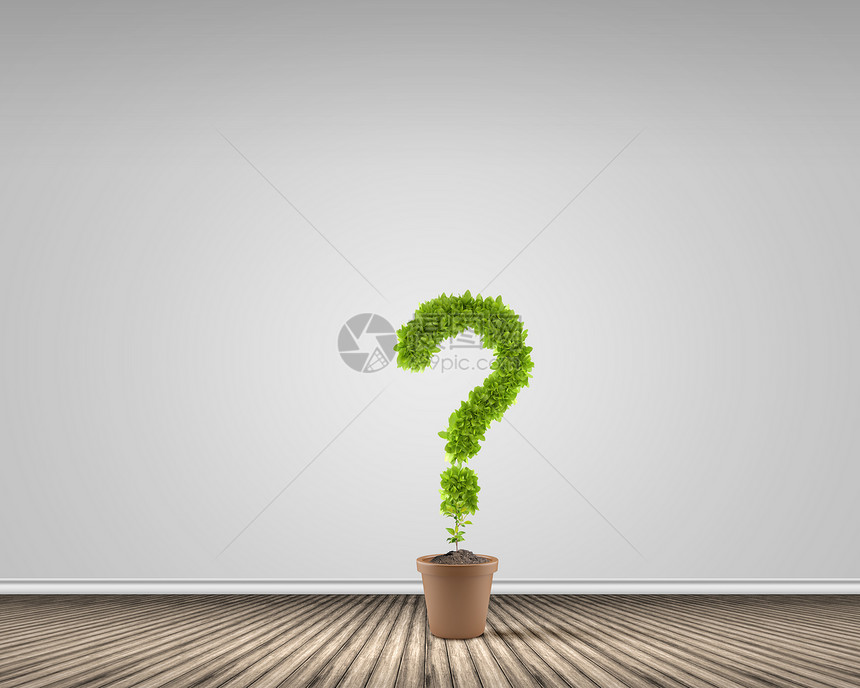 找答案盆栽植物的形象,形状像问号图片