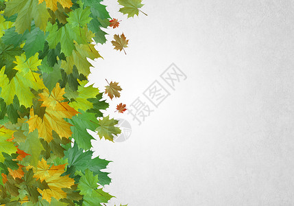 秋天的背景白色背景上五颜六色的叶子的图像文字的位置充满活力的高清图片素材