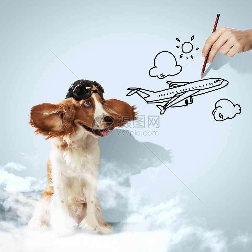 趣的猎犬飞行员头盔中趣的猎犬的形象图片