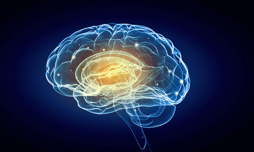 蓝色背景下人脑的人类智力人类的大脑背景图片