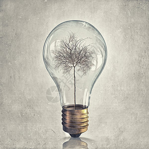 自然资源枯竭璃灯泡中的干树节能的象征图片