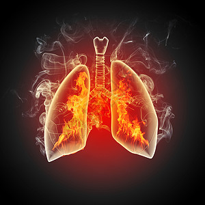 肺元素人类肺的示意图彩色背景上同元素的人类肺的示意图拼贴背景