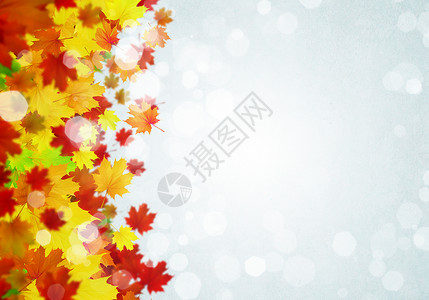 秋天的背景白色背景上五颜六色的叶子的图像文字的位置橙色高清图片素材