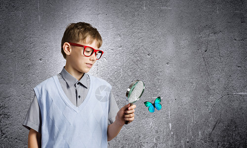 逮蝴蝶的男孩植物学课学校男孩用放大镜检查蝴蝶背景