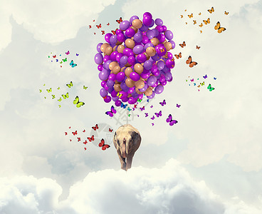 会飞的大象大象空中飞行的阳光图像图片