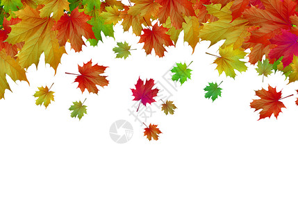 秋天的背景白色背景上五颜六色的叶子的图像文字的位置季节高清图片素材